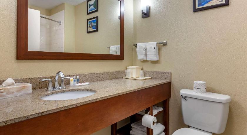 Comfort Suites Clayton - Garner