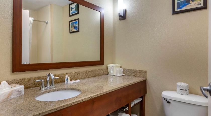 Comfort Suites Clayton - Garner