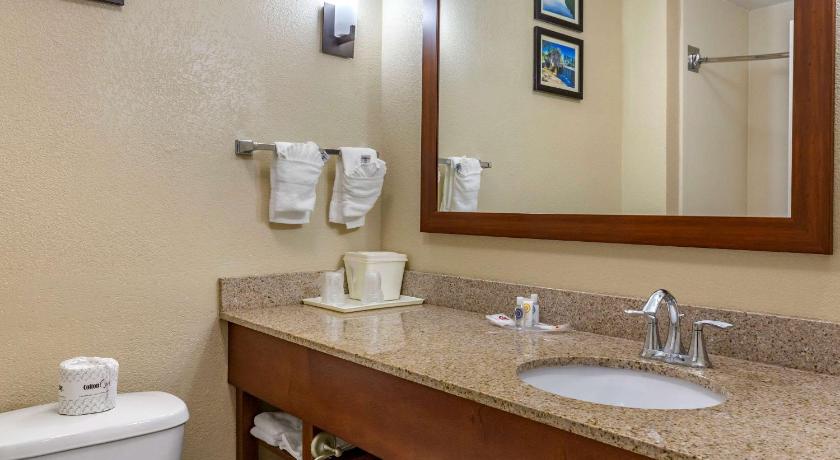 Comfort Suites Clayton - Garner