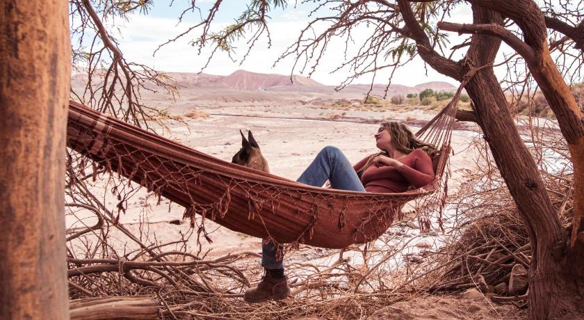 Lodge Atacama Horse photo