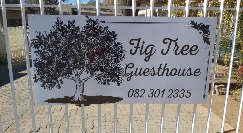 Fig Tree photo