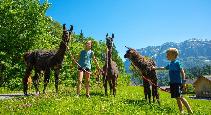 Die Sonnigen - Hotel und Familienspass photo