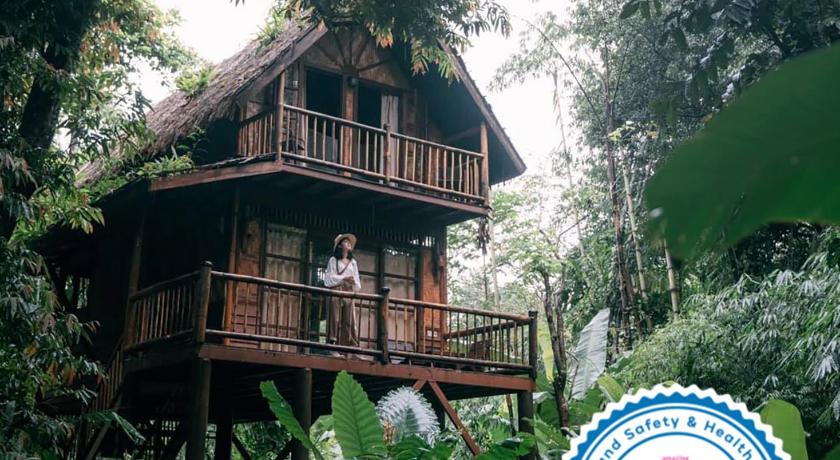Our Jungle Camp - Eco Resort