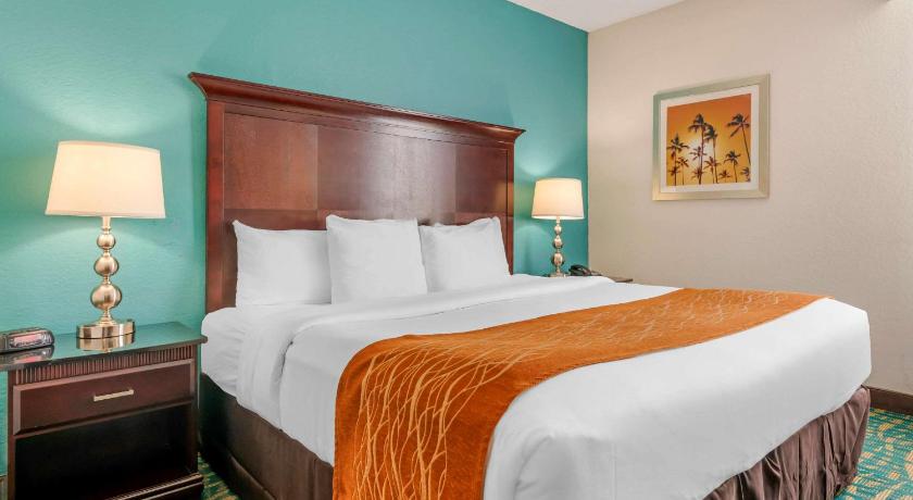 Comfort Inn & Suites Fort Lauderdale West Turnpike