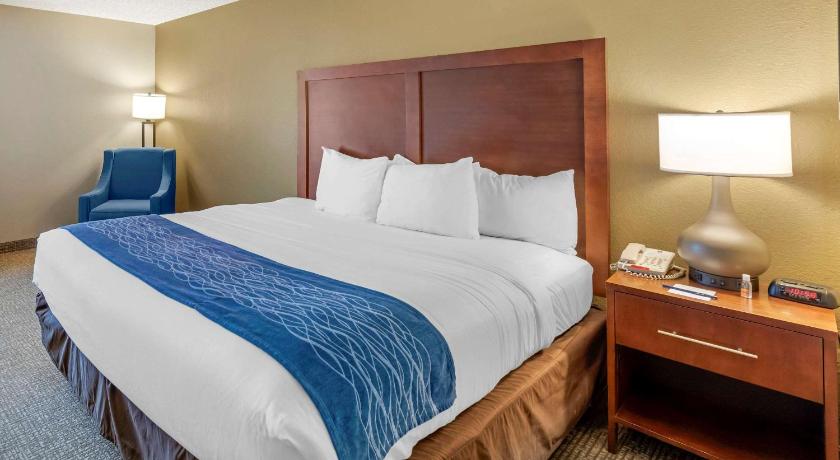 Comfort Inn Elizabeth City near University