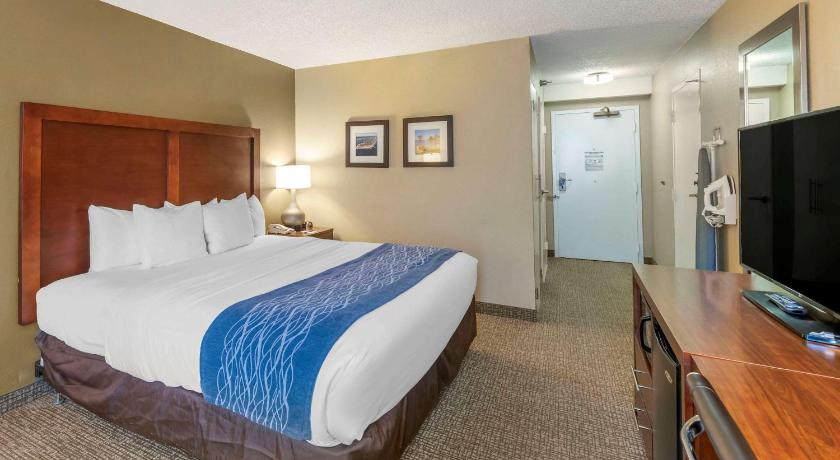 Comfort Inn Elizabeth City near University