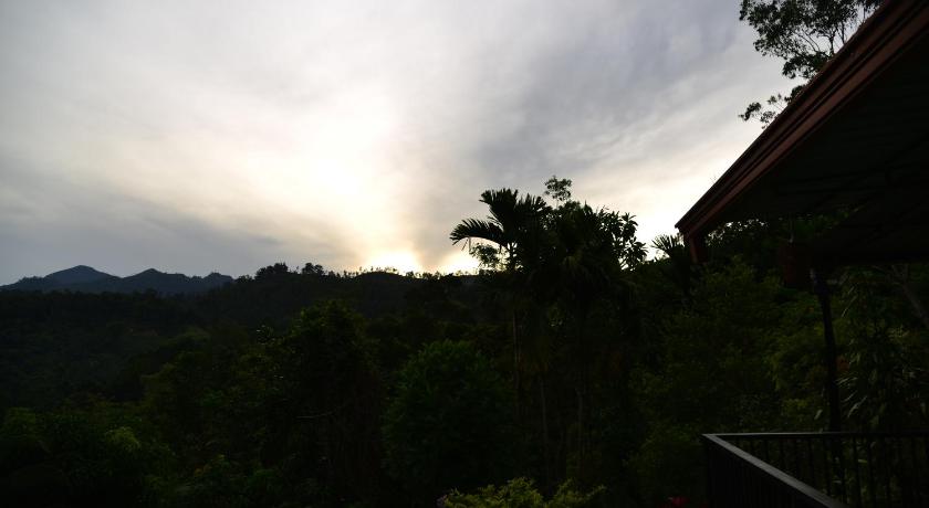 Ella Panorama Villa photo