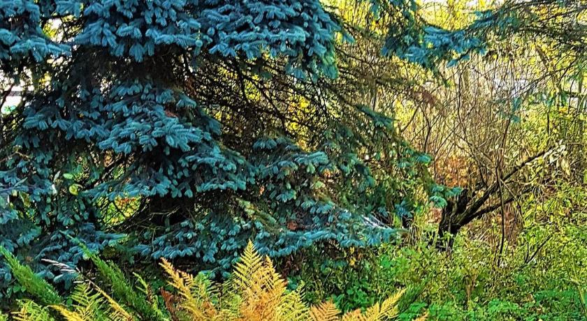 Gospodarstwo Agroturystyczne Stary Mlyn Wilczkowice photo