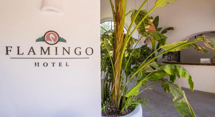 Flamingo Hotel & Spa - Pet Friendly photo