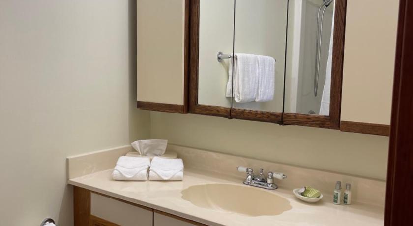 The Central Downtown Inn Suites photo