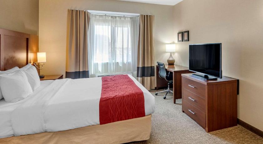 Comfort Inn & Suites San Francisco Airport West