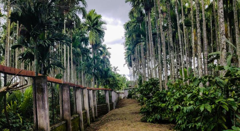 Dubare Inn photo