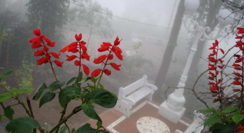 INDeco RESORT YERCAUD A BLUSALZ RURAL Experience