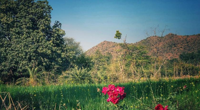 The Riverside Estate Luxury Private Pool Villa in Udaipur