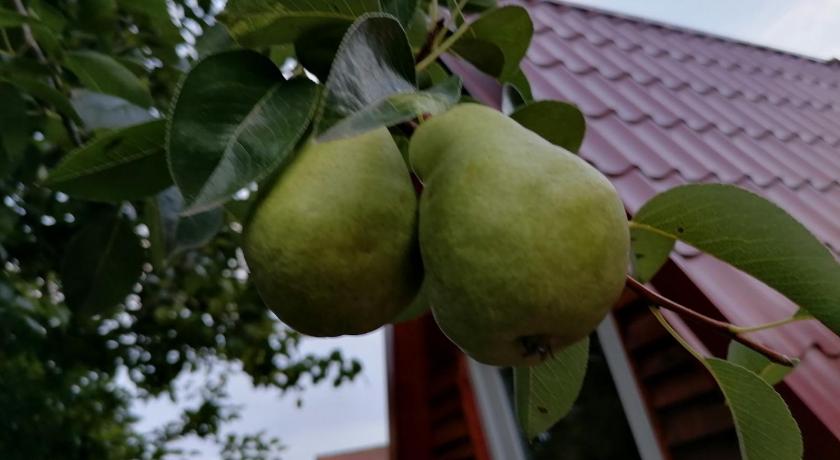 베오그라드 VisitorsCenter Ivanovo 2성급 싱글룸 외관