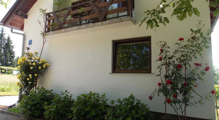 Apartments Smirnov photo