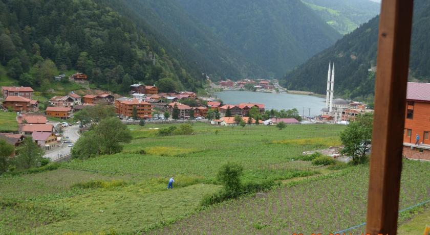 Zeren Pansiyon — Hotel in Uzungol