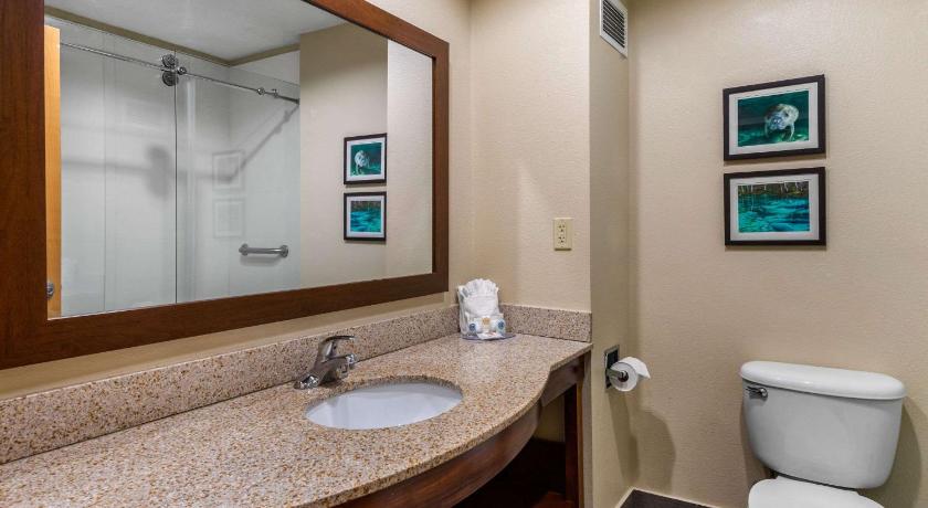 Comfort Inn & Suites Wildwood - The Villages