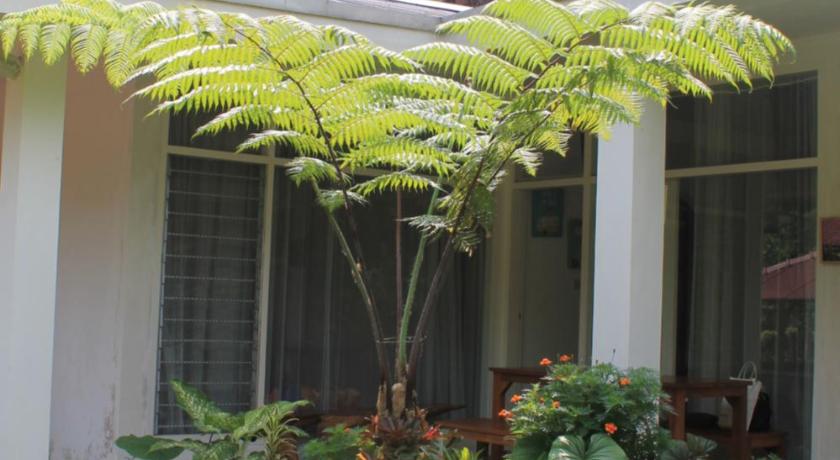 The Forest Villa - image 15