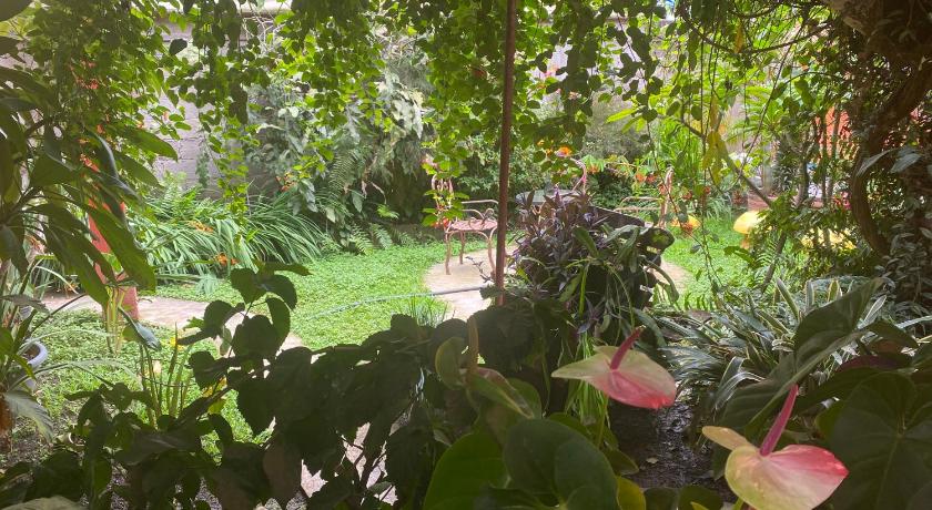 Flor de Cera, Tepoztlan | 2023 Updated Prices, Deals Flor de Cera, Tepoztlan | 2023 Updated Prices, Deals