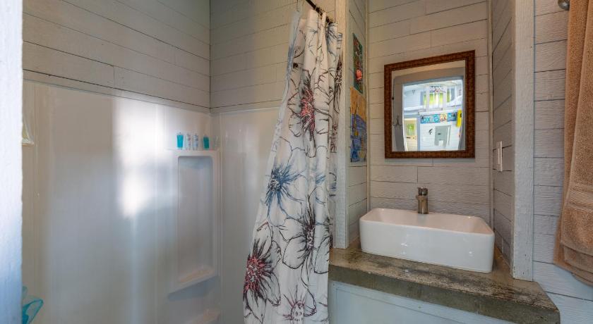 Tiny House Leadville Colorado photo