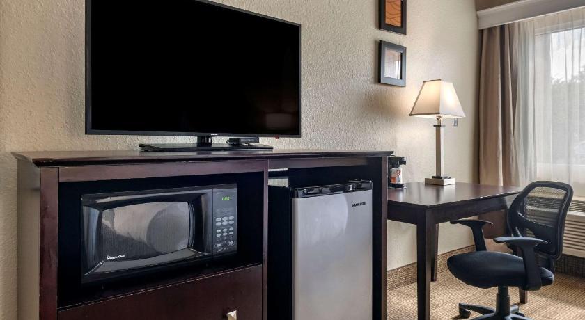 Comfort Inn & Suites DeLand - near University