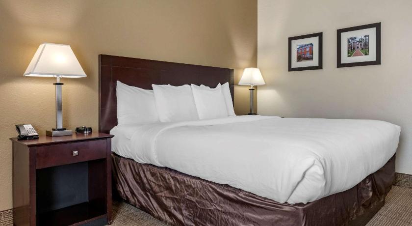 Comfort Inn & Suites DeLand - near University