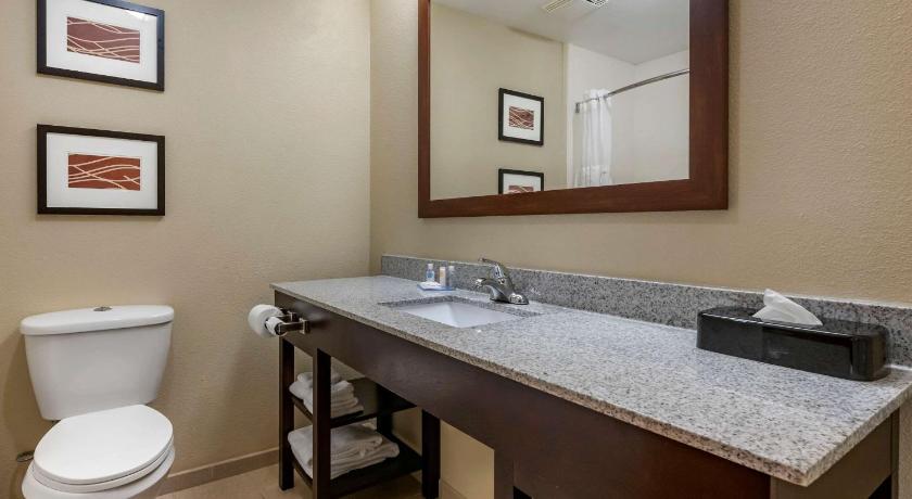 Comfort Inn & Suites DeLand - near University