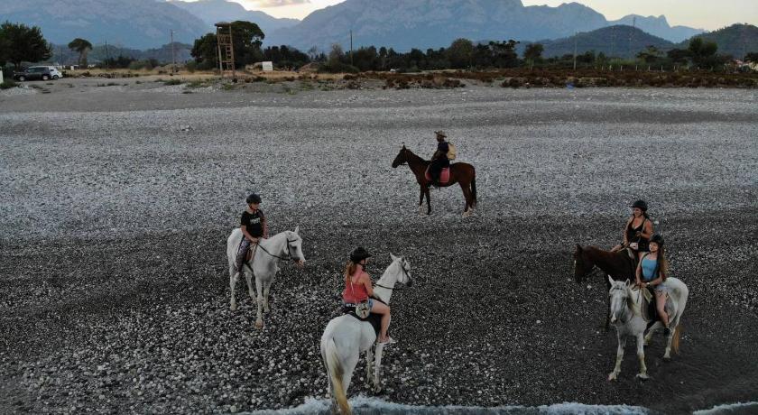 Hotel Berke Ranch&Nature