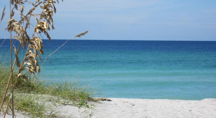 Turtle Crawl Inn - Longboat Key photo