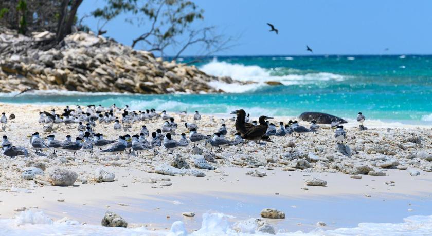 Wilson Island photo