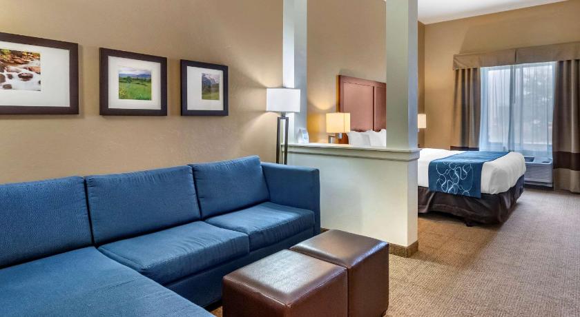 Comfort Suites Airport-University