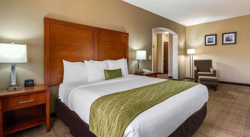 Comfort Inn & Suites Sacramento – University Area