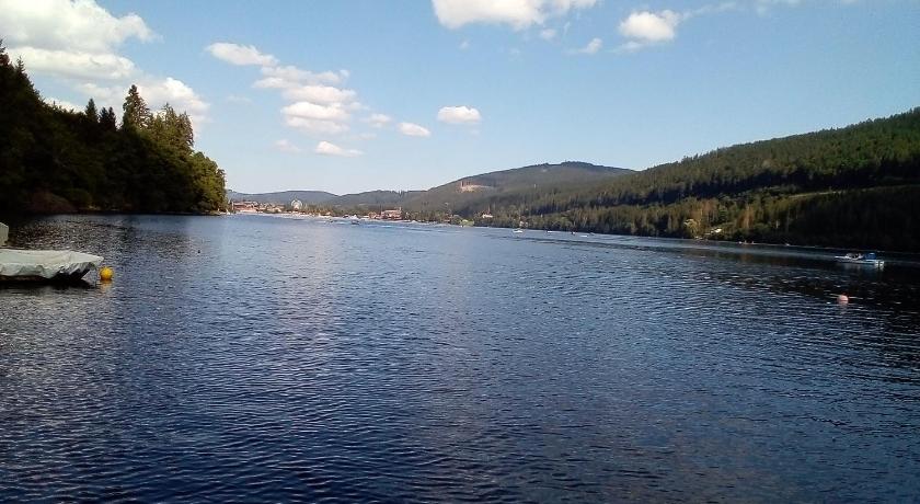 Schwarzwald - Villa Appartments Titisee photo