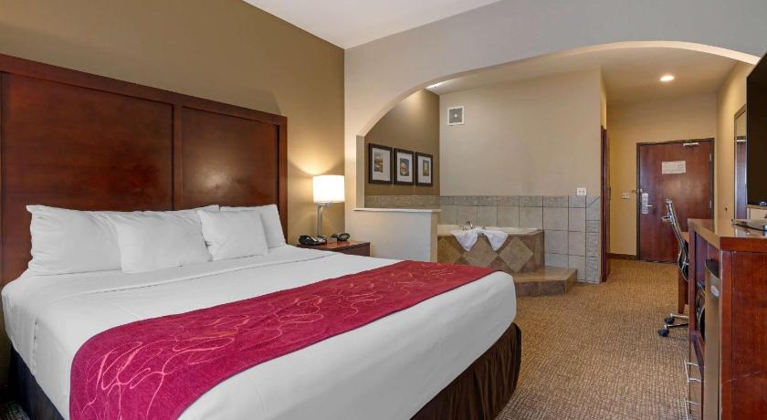 Comfort Suites Downtown Sacramento