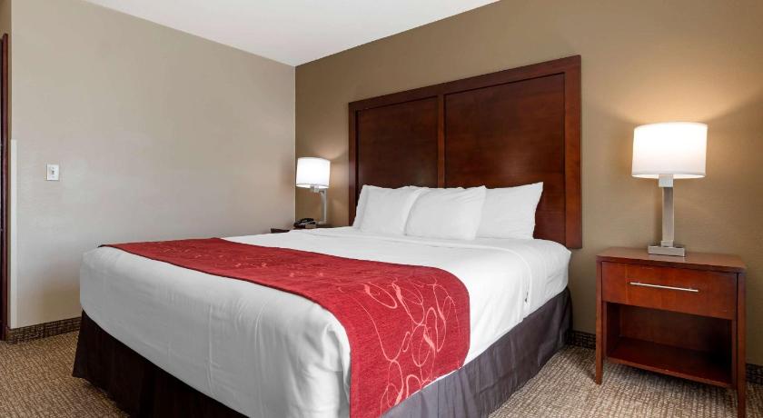 Comfort Suites Downtown Sacramento