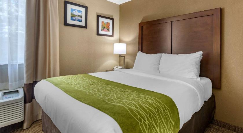 Comfort Inn Edison - New Brunswick