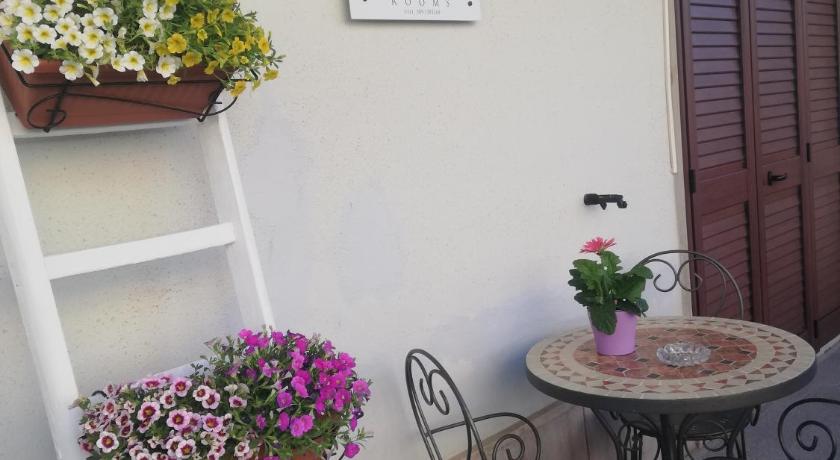 B&B Acchiappasogni