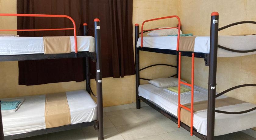Image of Bed in 6-Bed Dormitory Room 0