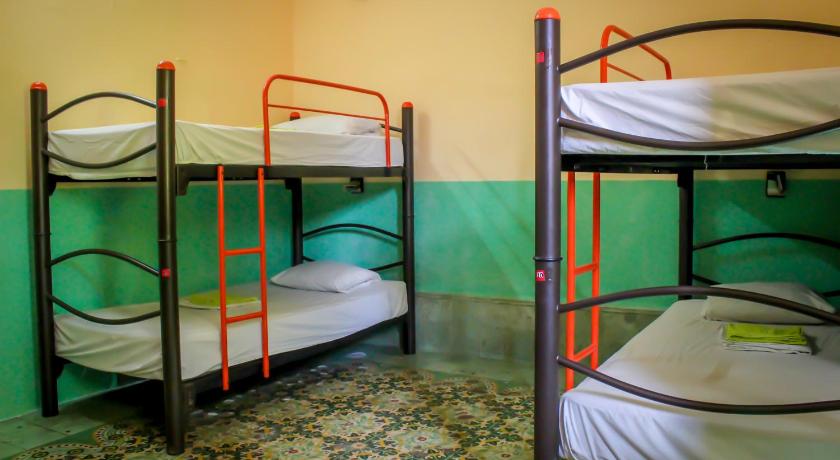 Image of Bed in 4-Bed Dormitory Room 0