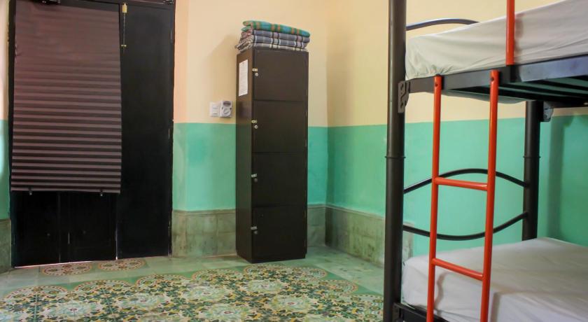Image of Bunk Bed in Mixed Dormitory Room 1