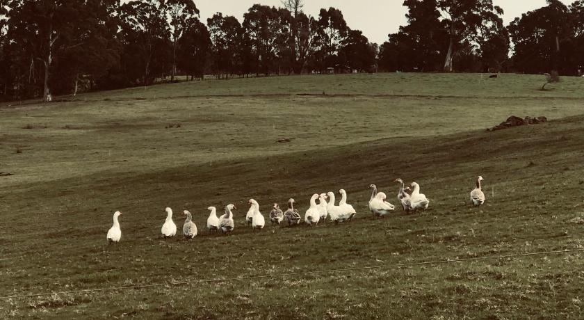 Scotsdale Farm photo