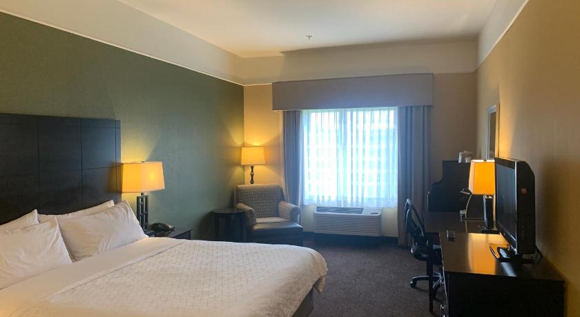 Holiday Inn Express Hotel & Suites Lansing-Dimondale