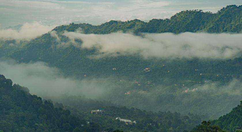 The Woods View By Exotic Stays — Hotel in Dharampur