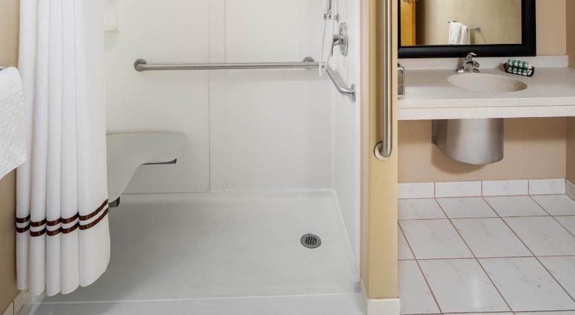 Image of Accessibility - 1 King, Roll-in Shower, Nonsmoking 12