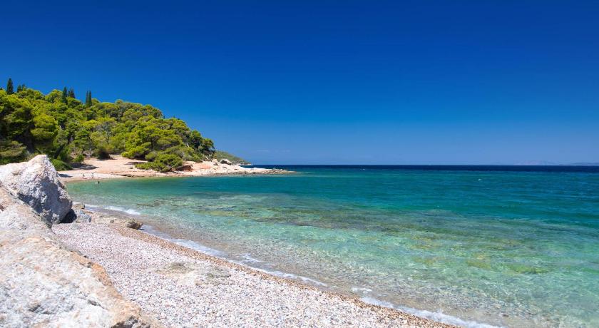 Argonaftis Spetses photo