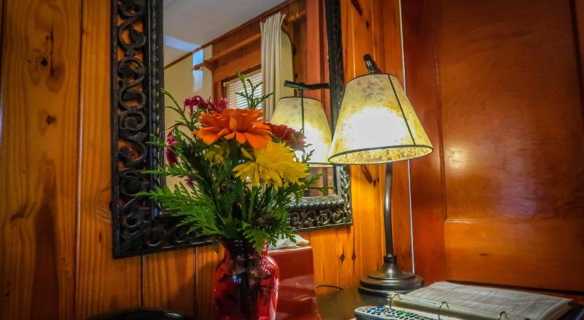 블로잉 록 (NC) Mountainaire Inn & Log Cabins 2성급 숙소 부대시설