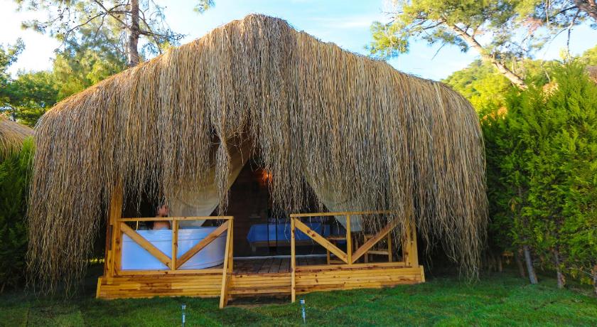 Green Pine Bungalows & Beach Luxury Concept