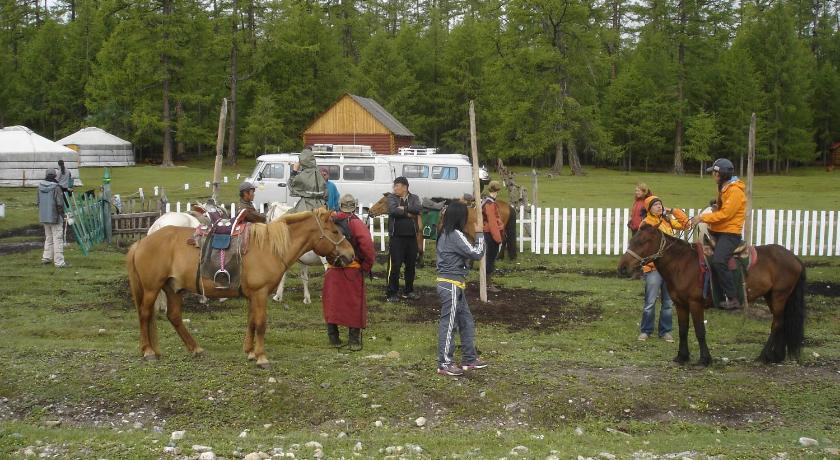 a number of people in a field with horses, Sunpath Mongolia Tour & Hostel in Ulaanbaatar