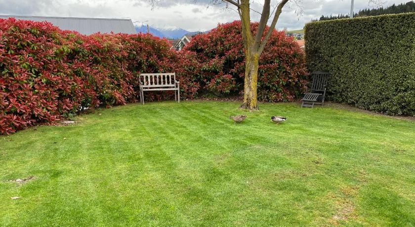 1- DELIGHTFULLY FRESH PRIVATE HOME CLOSE TO TOWN - image 6